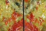 Red And Yellow Jasper Replaced Petrified Wood Bookends - Oregon #123464-2